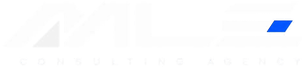MLE Consulting Agency logo